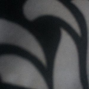 Meet your Posher, Ymani